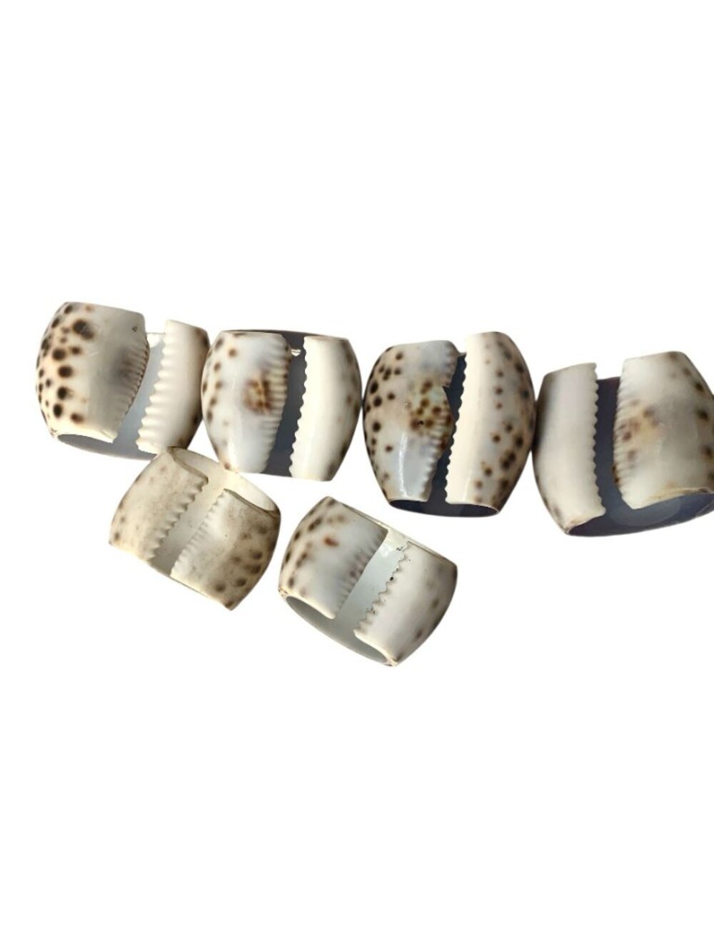 6 Tiger Cowrie Shell Napkin Rings Table Decor - Picture 7 of 7